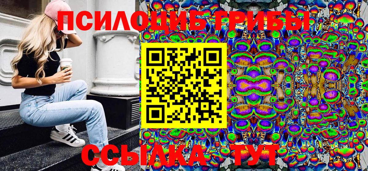 Псилоцибиновые грибы Magic Shrooms Городец