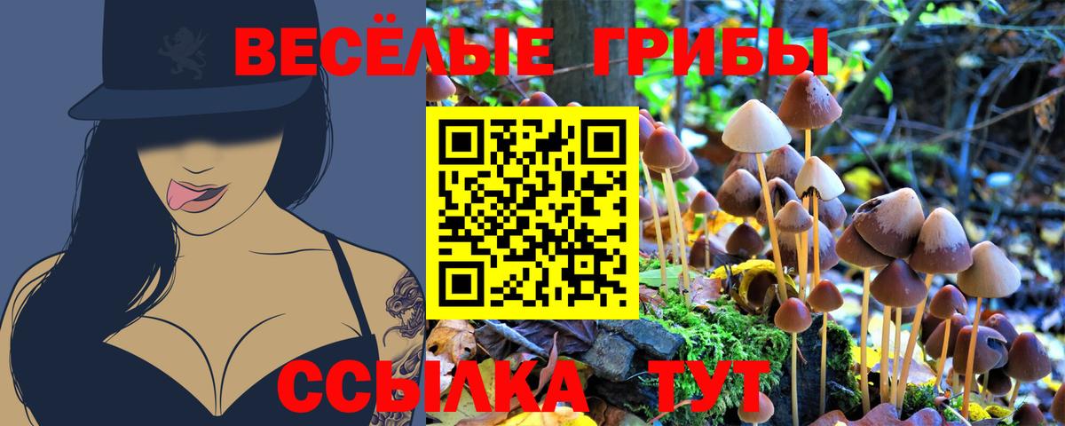Городец  Псилоцибиновые грибы ЛСД  Вход с VPN 